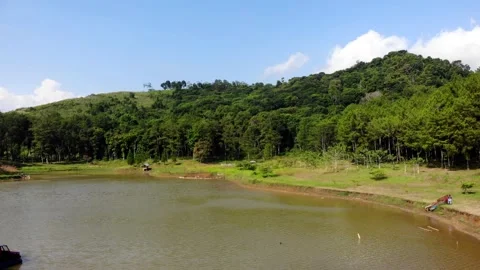 View of Lake and Pine Trees Footage. Sukabumi, Indonesia Stock Footage 245958871