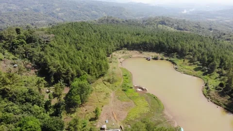 View of lake and pine trees. Sukabumi, Indonesia Video stock 245958873