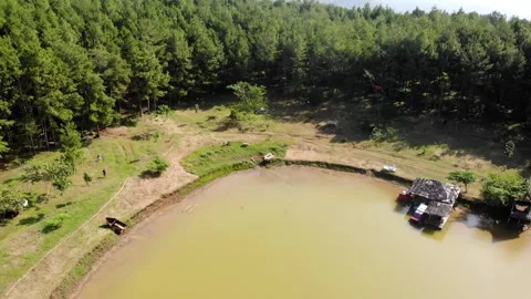 View of lake and pine trees. Sukabumi, Indonesia Stock Footage 245958981
