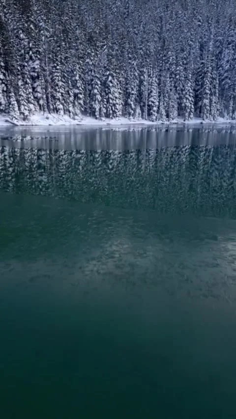 View on lake and trees covered snow in winter Stock Footage 274274493
