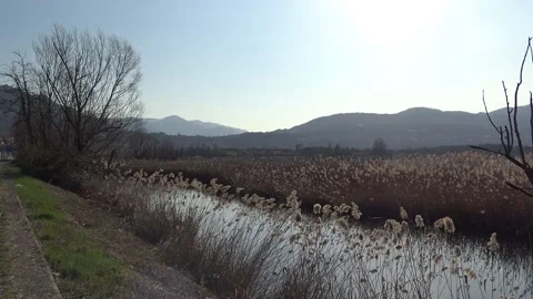 View on Lake Annone Vídeo Stock 154729685