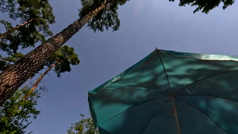 View of lake from camping site Stock Footage 254149473