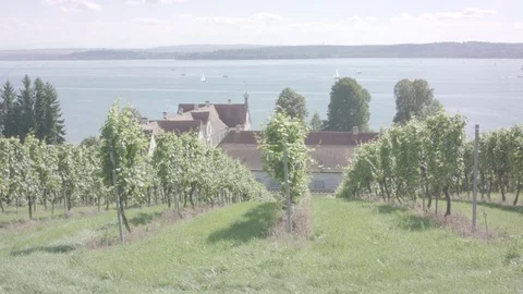 View of Lake Constance from monastery Birnau - Ursa Mini Pro - 4,6K 動画素材 78982850