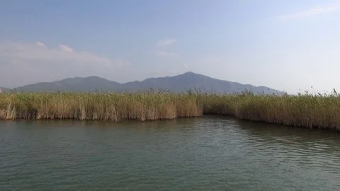 View of the lake Dalyan Stock-Footage 70159140
