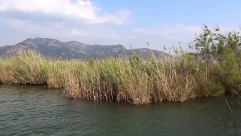 View of the lake Dalyan, Turkey Video stock 83694111