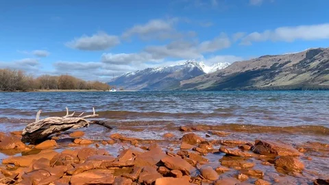 View of the lake, dead tree and snowy mountains in the background on a sunny Stock Footage 114669775
