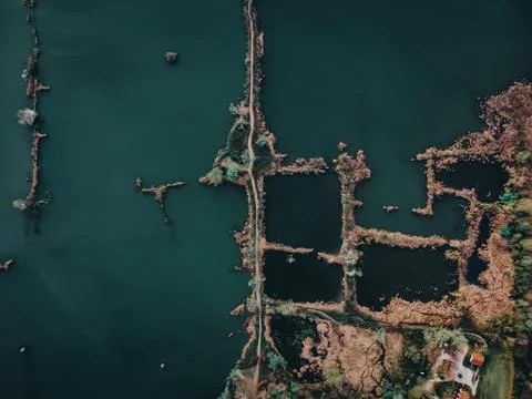 View on the lake from the drone 库存照片