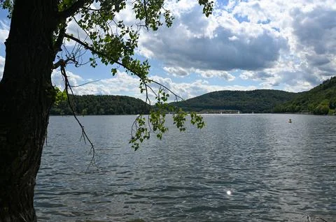 View of the Lake Eder with a tree Stock Photos