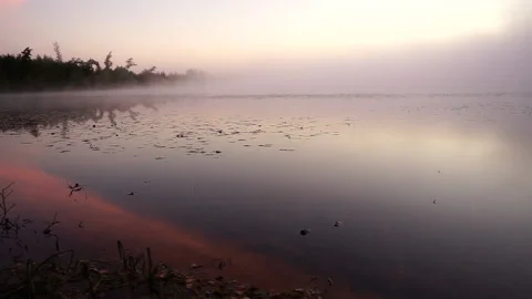 View of the lake Stock Footage 161577033
