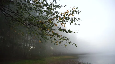 View of the lake Stock Footage 161577515