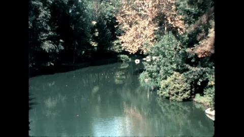 View of the lake Video stock 276289732