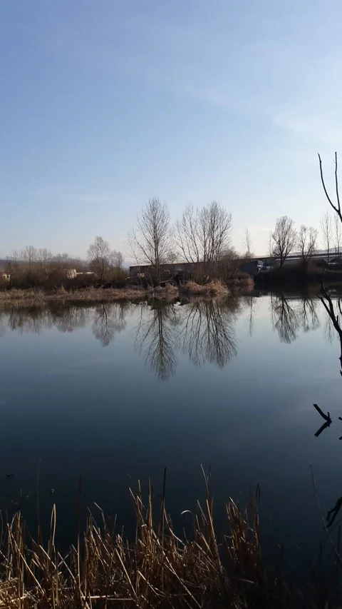 The view of the lake Stock Footage 286386015