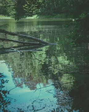 View of the lake in the forest and the reflection of the sky and trees in the Stock Photos