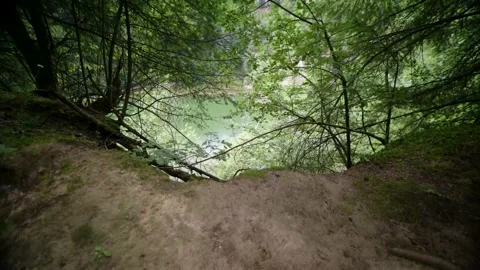 View of a Lake in a Forest Stock Footage 171242751