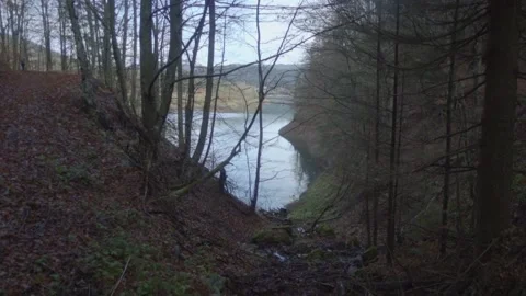 View of the lake from the forest road in late autumn. Stockbeeldmateriaal 229801680