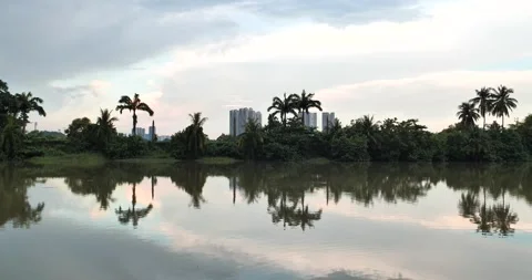 View of Lake in Garden Stock Footage 158494498