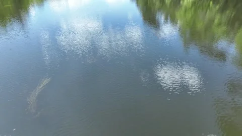 View of the lake from the golf course Stock Footage 276489210