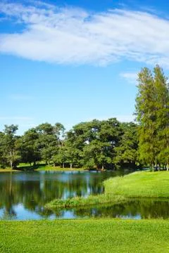 View of a lake at the golf course Foto stock