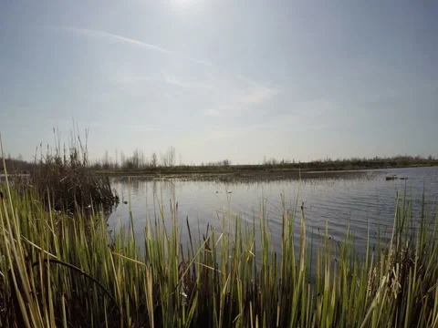 View Of The Lake In Good Weather Stock Footage 74858813