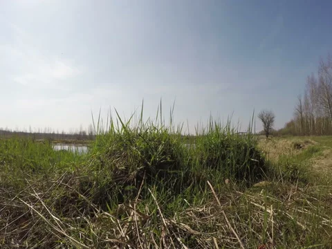 View Of The Lake In Good Weather Stock Footage 74860422
