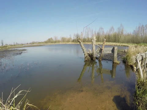 View Of The Lake In Good Weather Stock Footage 74861065