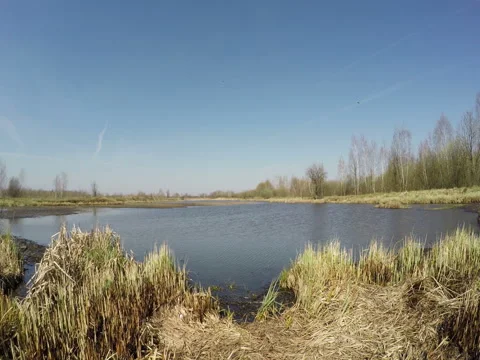 View Of The Lake In Good Weather Stock Footage 74861646