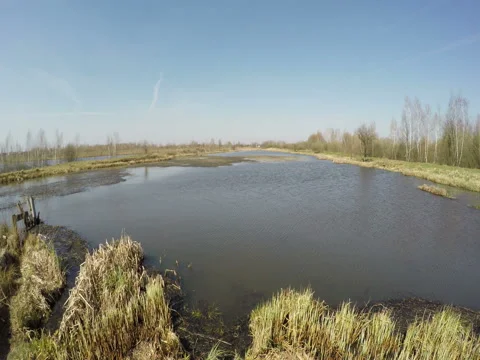 View Of The Lake In Good Weather Stock Footage 74861820
