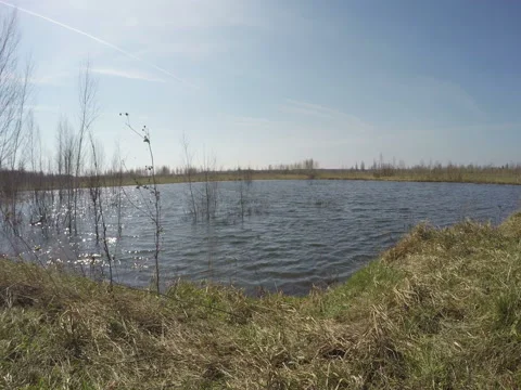 View Of The Lake In Good Weather Stock Footage 74862499