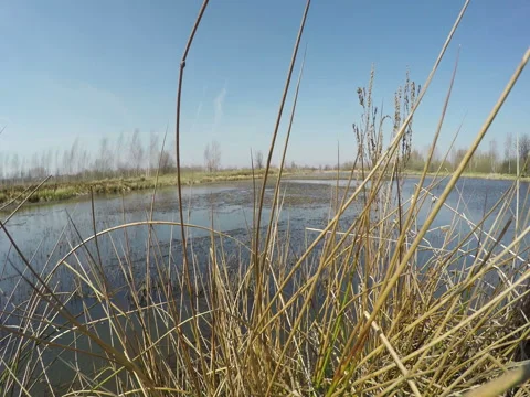 View Of The Lake In Good Weather Stock Footage 74862633
