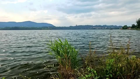 View of Lake Maggiore from the beach Stock Footage 316336182