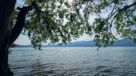 View of Lake Maggiore seen from Ispra beach Stock Footage 286759353