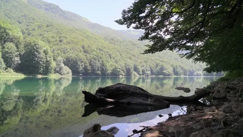 View of the lake, mountains and fallen tree Stock Footage 281024741