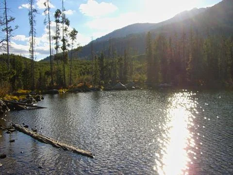 View to a lake in the mountains Stock Photos