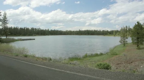 View of lake near forest Stock Footage 49099688