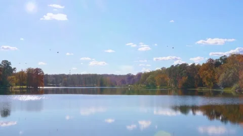 View of Lake Olmstead during a beautiful sunny day in Augusta Georgia Stock Footage 143665859