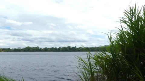 View of a lake with an overcast sky. Stock Footage 246798475