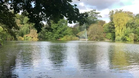 View of a lake in the park Stock Footage 140979542