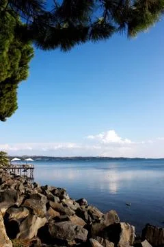 View of the lake Фото