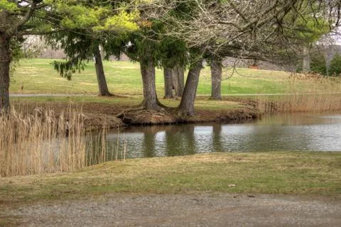View By The Lake Stock Photos
