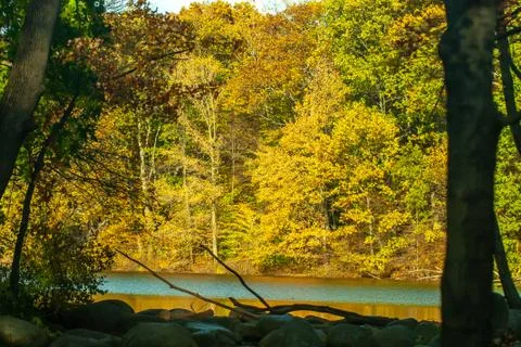 View to a Lake Stock Photos