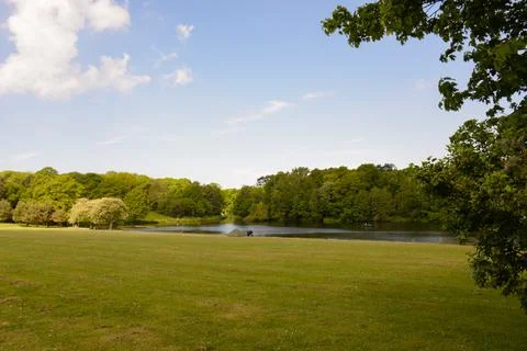 View of the lake Stock Photos