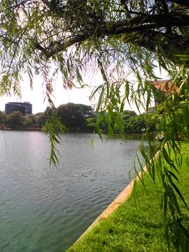 View by the lake 写真素材