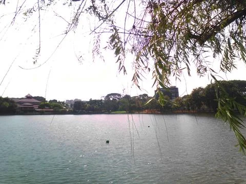 View by the lake 写真素材
