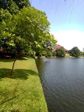 View by the lake 写真素材