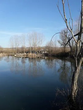 The view of the lake Stock Photos