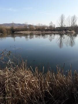 The view of the lake Foto stock
