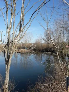 The view of the lake Stock Photos
