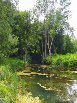 View of Lake in Ray Stock Photos