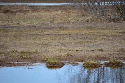 View of a lake with reflection Stock Photos