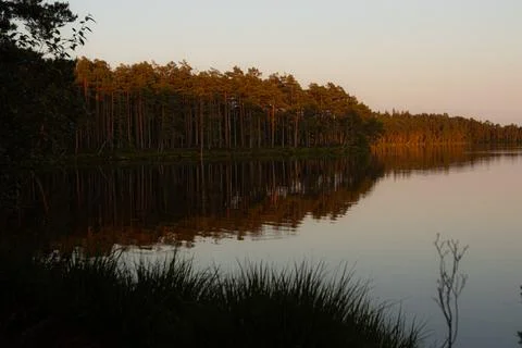 View of the lake with the reflection of the sun in the trees on the shore. Stock Photos